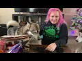 November 2021 Bark Box