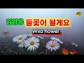 임영웅 들꽃이 될게요 Wild Flower 3번 연속 듣기｜감성 발라드 #임영웅#들꽃이될게요#WildFlower#영웅시대#임영웅노래#임영웅신곡#트롯발라드#트롯연속듣 #임영웅앨범