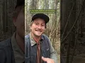 Download Lagu Do clearcuts replicate Natural Disturbances like fire, or do they end up creating more fire?