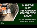 Inside the C-49 License Exam New Tree and Palm Contractor License in California CSLB Update