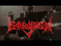 Gorgasm Disembodied Guitar Cover #brutaldeathmetal #slammingbrutaldeathmetal 