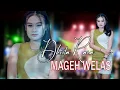 Download Lagu MAGEH WELAS ~ Dhista Rara   |   Banyuwangi Song - Panjak Osing
