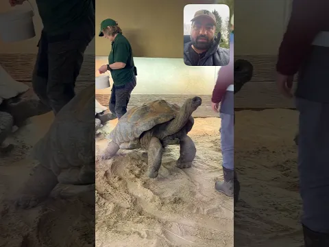 😳 jungle safari #travel #fun #viral #shorts #trending #safari #junglesafari