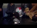 Poodle brothers are in need of forever homes