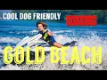 Cool Pet Friendly Hotels In Beautiful Gold Beach Oregon
