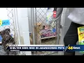 Evansville shelter warns pet abandonment is a crime amid increase in dumped animals