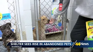 Evansville shelter warns pet abandonment is a crime amid increase in dumped animals