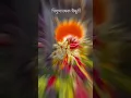 Download Lagu swami samarth WhatsApp Status ❤️ #trending #viral #love #youtubeshorts #swamisamarth #shorts