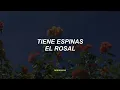 Tiene espinas el rosal-Grupo cañaveral 🥀(Letra)