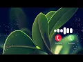 Tujh Bin Ringtone Love Ringtone Bgm Ringtone Instrumental Ringtone