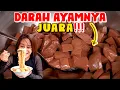 Download Lagu DARAH AYAMNYA NGGAK ADA LAWAN,  SAHABAT MUSLIM DI LARANG MAKAN!!!