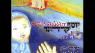 יוסף קרדונר משיח יבוא 