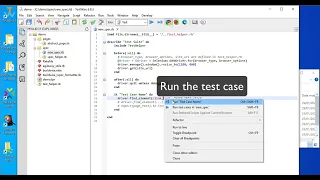 TestWise First Test