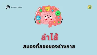  ทำไมลำไส้จึงถูกเรียกว่าสมองที่ 2 