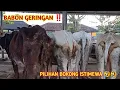 Download Lagu BABON GERINGAN MULAI BANYAK PILIHAN ‼️ Pasar Siyono harjo Gunungkidul 🔥🔥