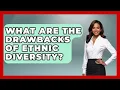 What Are the Drawbacks of Ethnic Diversity Demographic Data Answers News
