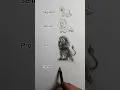 Lion drawing in different levels
