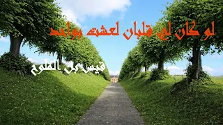 لو كان لي قلبان لعشت بواحد لقيس بن الملوح 