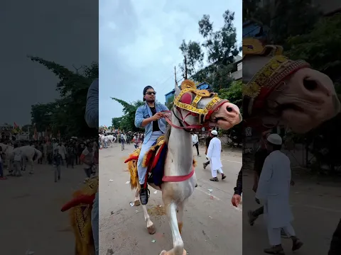 Paigam e mohabbat rally bhopal 😍 #trending #viral #shorts #india #alaamirkhan