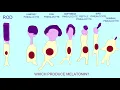 the pineal gland pinealocytes