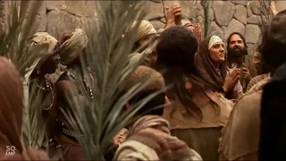 الجالس فوق الشاروبيم 