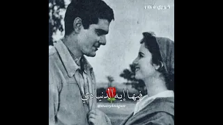 حالات واتس اب حب الا انت نجاة الصغيره اجمل اغاني الزمن الجميل 