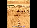 Download Lagu Power of Bheem 🔥🥵 || Mahabharat Status || #shorts #viral #mahabharat #bheem