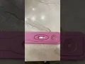 16 DPO Pregnancy Test on a Cheapie