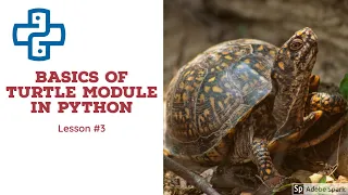 Python Turtle Module for Absolute Beginners Part