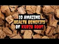 Lagu 10 Amazing Health Benefits of Kudzu Root