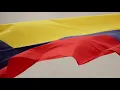 TUYO - Cover (Rodrigo Amarante - from Narcos / Netflix)