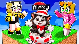 ¡Fingí ser el GATO CON SOMBRERO BEBÉ en UN CHUNK en Minecraft! 😱🐱