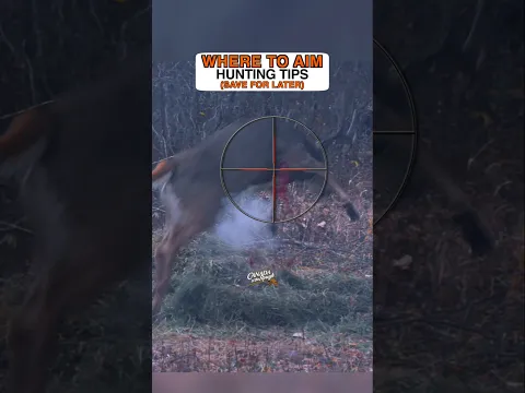 Where To Shoot a Deer with a Gun | Hunting Tips #shorts #saskatchewan #deerhunting #Hunting