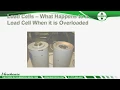 Load Cell Troubleshooting