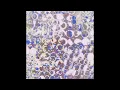 Suso Saiz - Memory Crusher