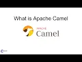 What Is Apache Camel