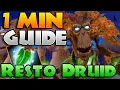 QUICK Resto Druid GUIDE for Midnight m Season 1 Beginner s Wildstalker in 1 Minute 45 Seconds