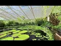 3D Gaussian Splatting Insta360 RS 1 - Waterlily House Kew Gardens