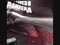 Pantera - Hollow