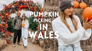 Visiting the GOWER fresh Christmas Tree FARM No. 103