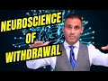 SSRI Wit rawal It s Not Just About Tapering The Neuroscience Behind the Struggle