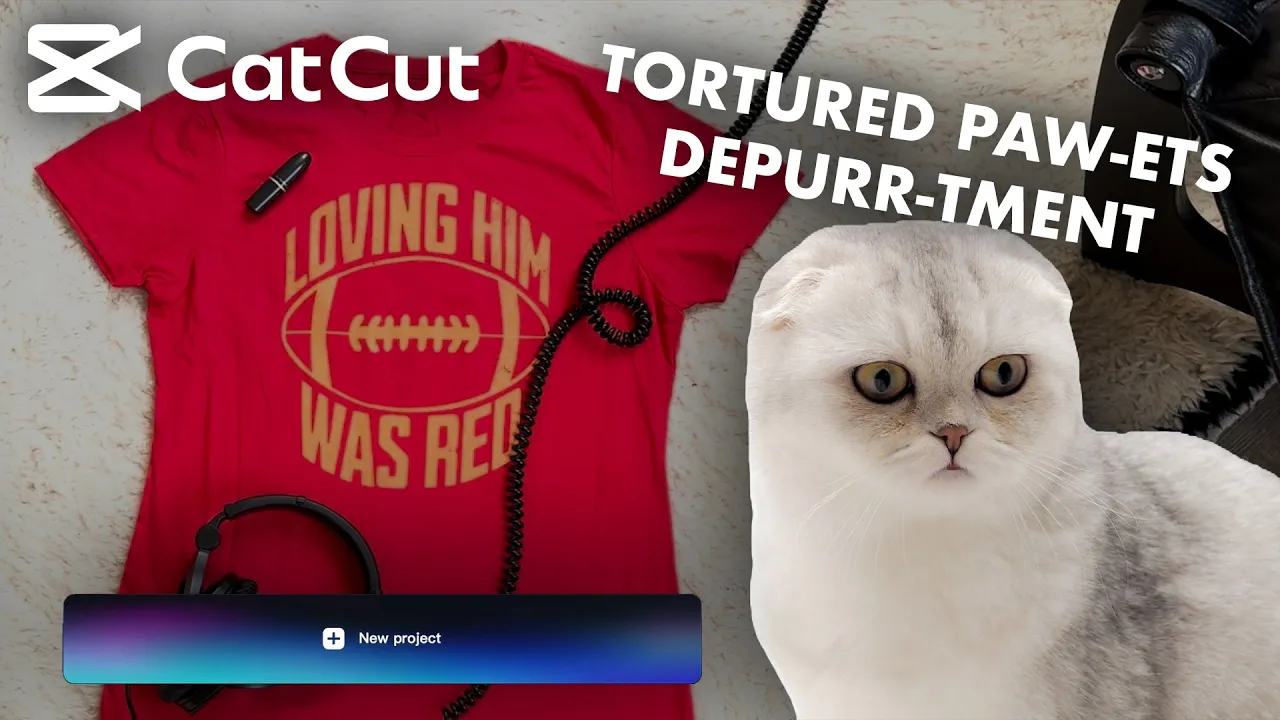 The Tortured Paw-ets Depurr-tment: We ❤️ Meredith, Olivia & Benjamin Button | CatCut | CapCut