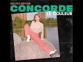 Un simple vol d'après-midi (Napkey Remix)