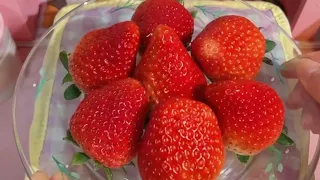 زوجووني ولدخالتي الغني اللي ماابيه وبليلةالدخله شدني وقال 