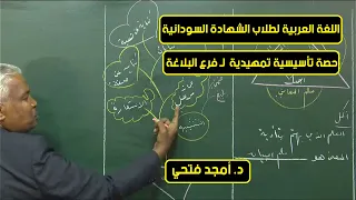 اللغة العربية البلاغة د أمجد فتحي حصص الشهادة السودانية 