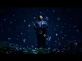 Chronical Deep - Zizwe (Visualizer)