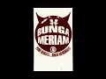 Download Lagu LAWAN - BUNGA MERIAM