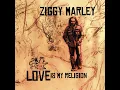 Beach In Hawaii - Ziggy Marley