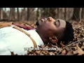 Vic Lucas - What I Need (Visualizer)