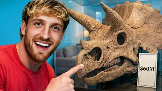 Stupidly Expensive Things Logan Paul Owns
